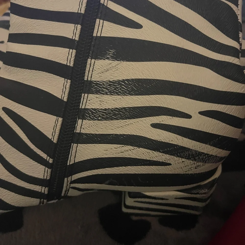 Funky Zebra Print Ankle Boots